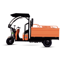 MAYURI CHEETAH E-CART