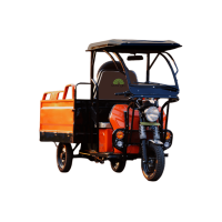 MAYURI CHEETAH E-CART