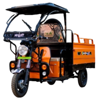 MAYURI CHEETAH E-CART