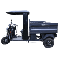 Victory Bhim E-Cart Open Loader 