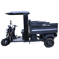 Victory Bhim E-Cart Open Loader 