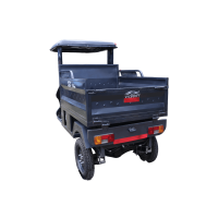 Victory Bhim E-Cart Open Loader 